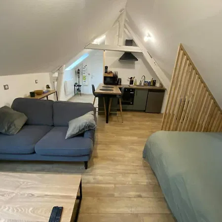Chaleureux Hyper Centre Appartement *