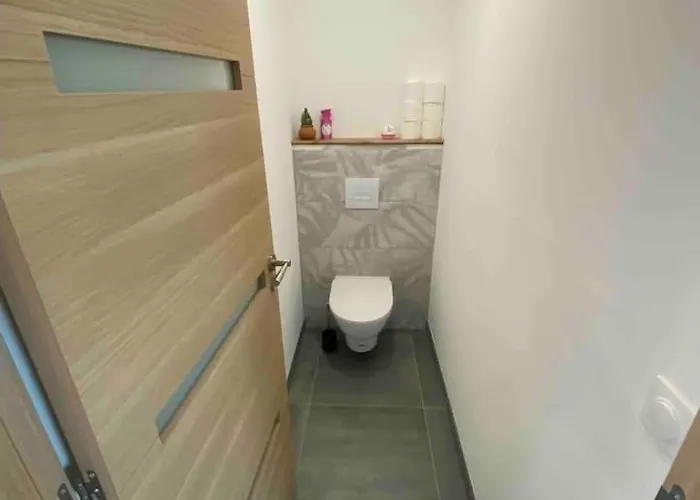 Chaleureux Hyper Centre Apartment *