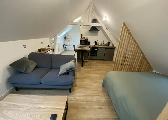 Chaleureux Hyper Centre Apartment *